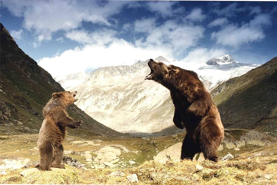 Amazon.co.jp: 『子熊物語』『トゥー・ブラザーズ』 Blu-rayセット