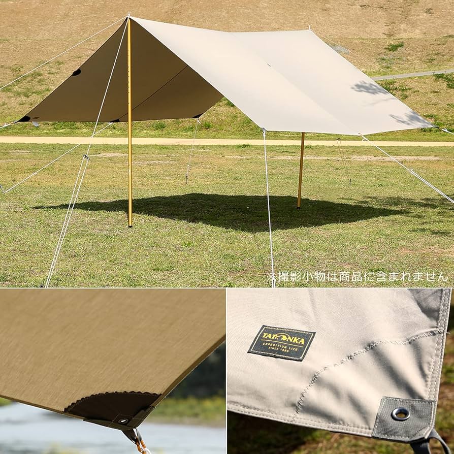 81Cw8gNHg7S._AC_UF894,