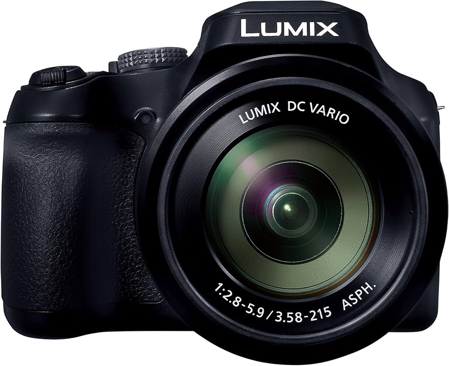 Amazon.com : Panasonic LUMIX FZ80D Point and Shoot Digital Camera