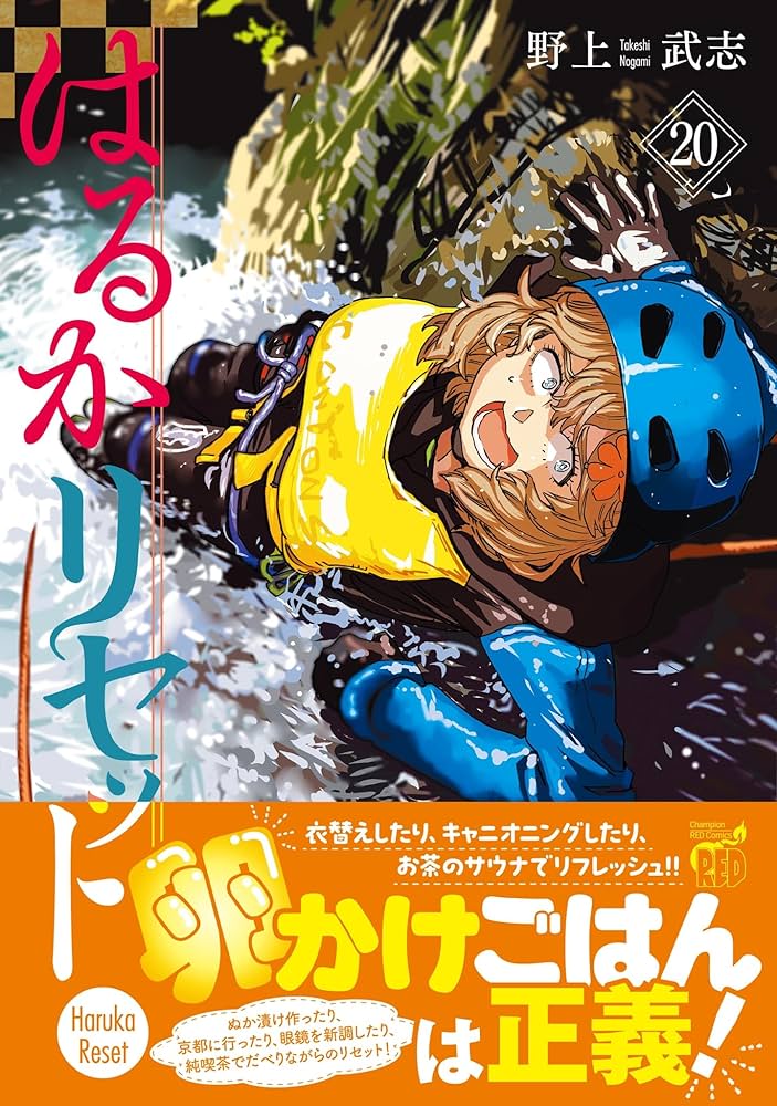 81DspvPBVML._AC_UF1000,