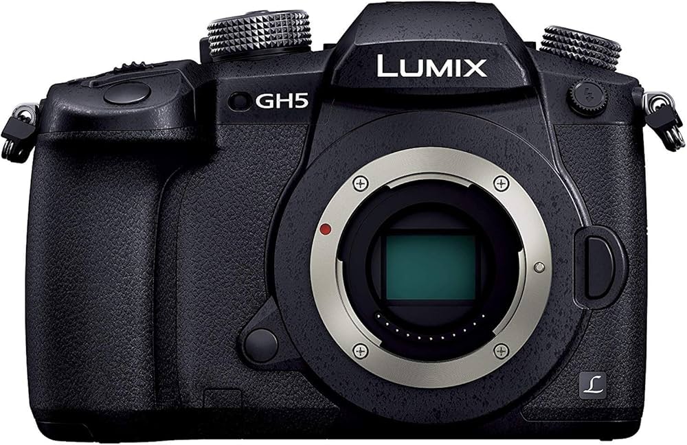 Amazon | パナソニック ミラーレス一眼カメラ ルミックス GH5 ボディ
