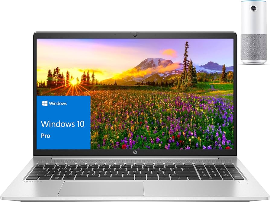 Amazon.com: HP 2022 ProBook 450 G8 15.6