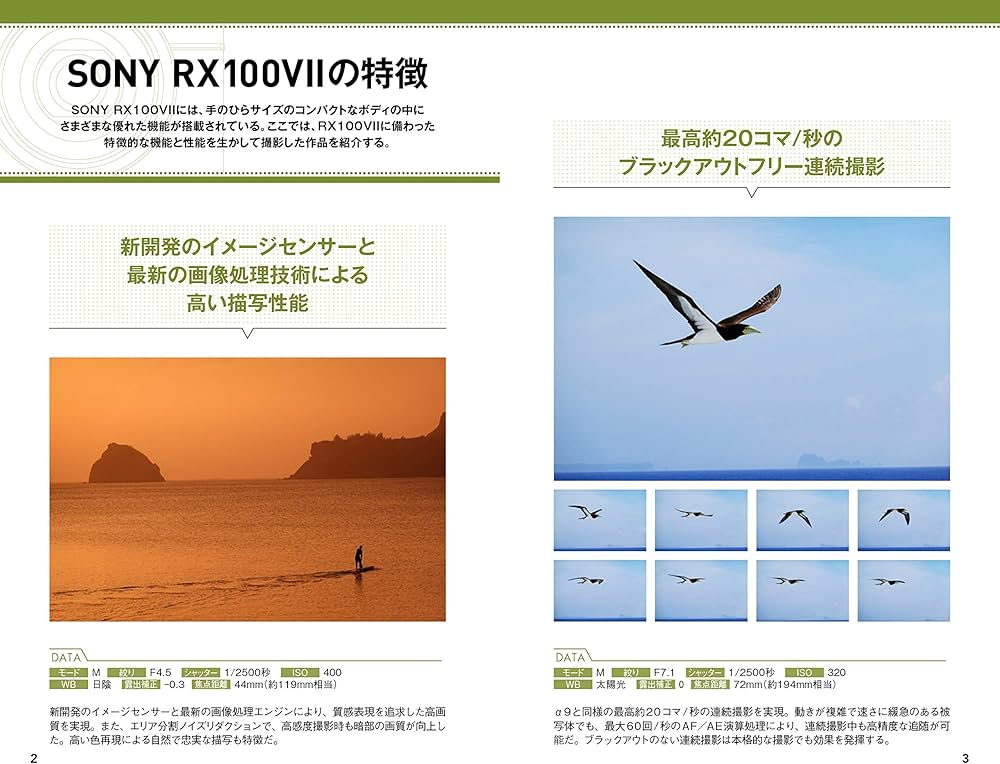 今すぐ使えるかんたんmini SONY RX100 基本&応用撮影ガイド[RX100VII