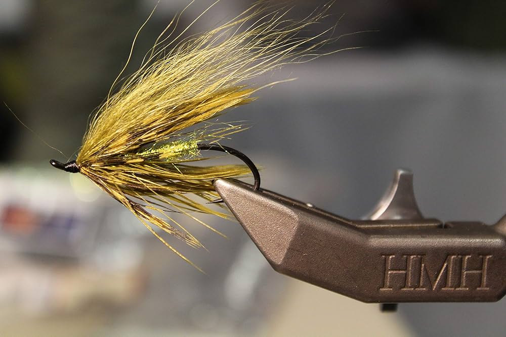 81Hw2-EqdHL._AC_UF1000,