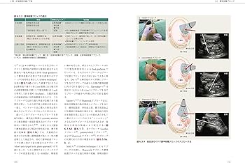 Amazon.co.jp: 臨床区域麻酔科学書 : 日本麻酔科医会連合出版部, 廣田
