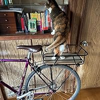 Amazon | ミノウラ(MINOURA) 自転車 キャリア/荷台 GAMOH KCL-1R