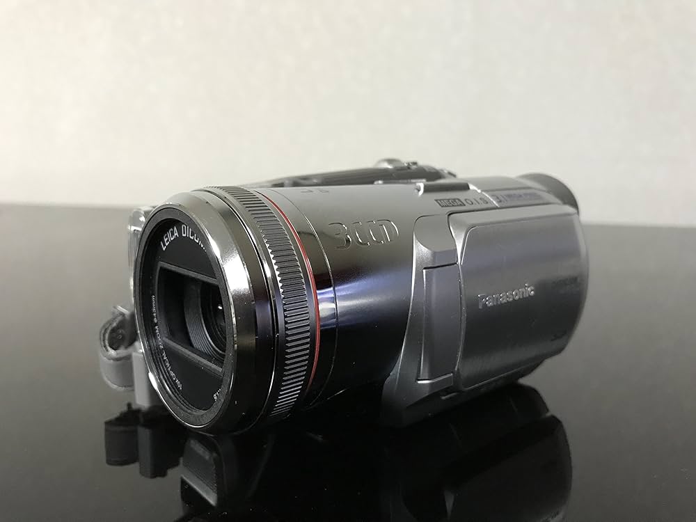 Amazon.co.jp: Panasonic NV-GS250-S デジタルビデオカメラ 3CCD