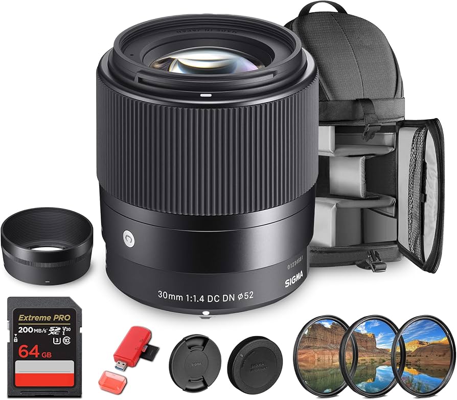 Amazon.com : Sigma 30mm f/1.4 DC DN Contemporary Lens Sony E (MFR