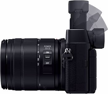Amazon | パナソニック ミラーレス一眼カメラ ルミックス GX8 レンズ