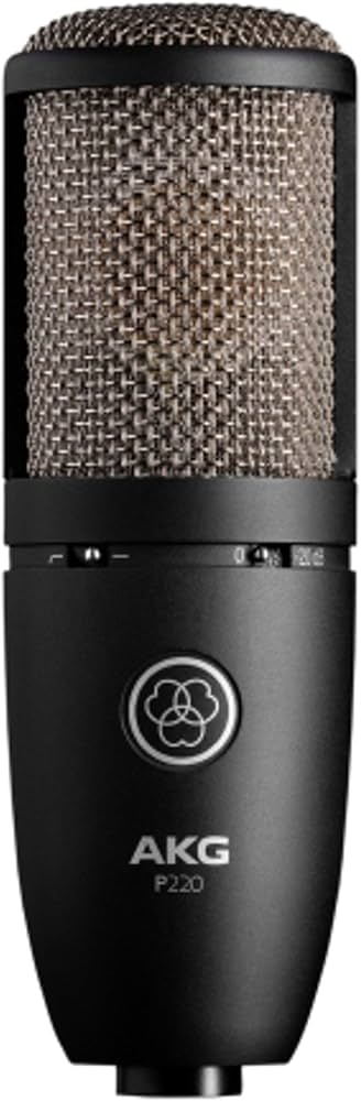 Amazon.com: AKG P220 Perception 220 Professional Studio Microphone