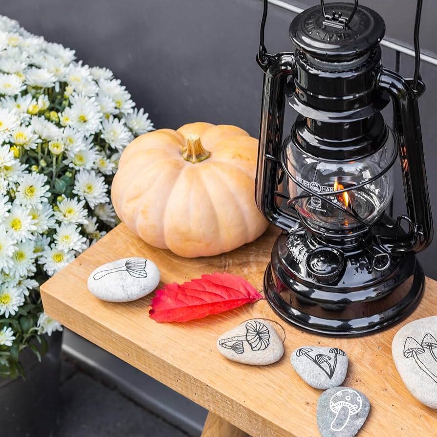 Amazon.com: Feuerhand Outdoor Kerosene Fuel Lantern, German Made