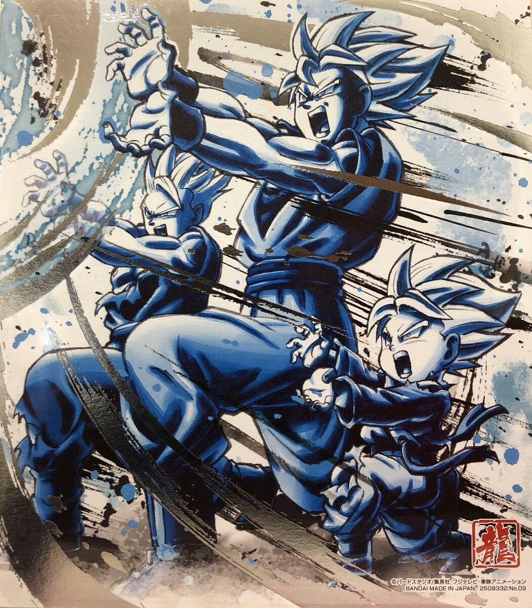 ARS10+】 FB05-053 孫悟空 プロモ かめはめ波 鳥山明 イラスト ARS10+