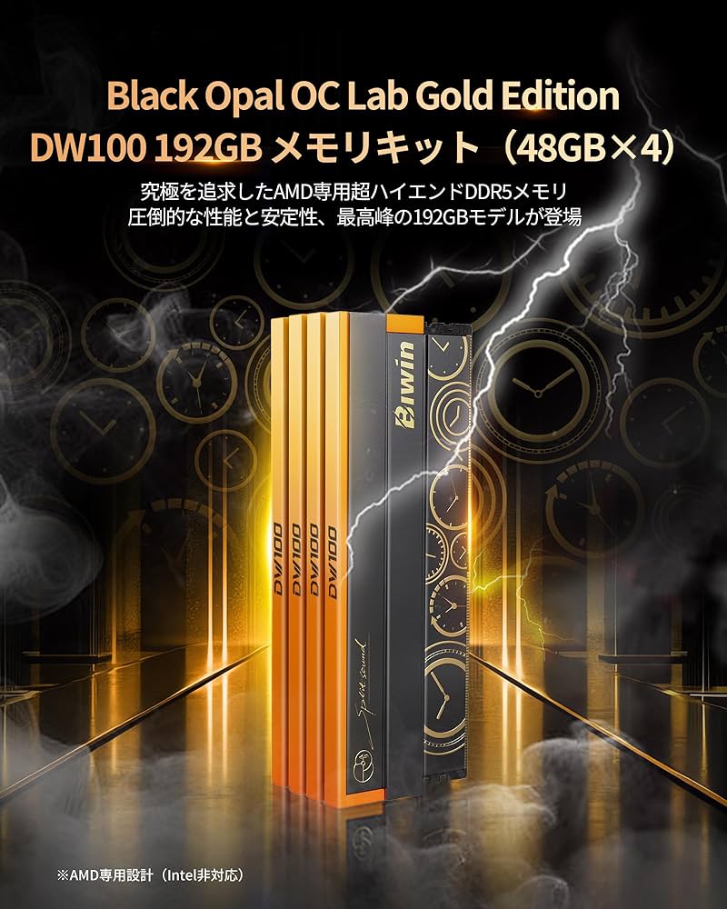 Amazon.co.jp: Biwin DW100 DDR5 6000MT/s (PC5-48000) 192GB (48GB×4