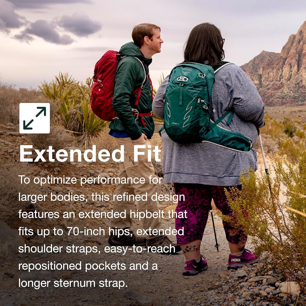 Amazon.co.jp: [オスプレイ] ハイキングバックパック テンペスト 20L