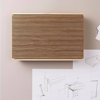 Amazon.com: Bang & Olufsen Beosound Level Portable Wi-Fi Multiroom