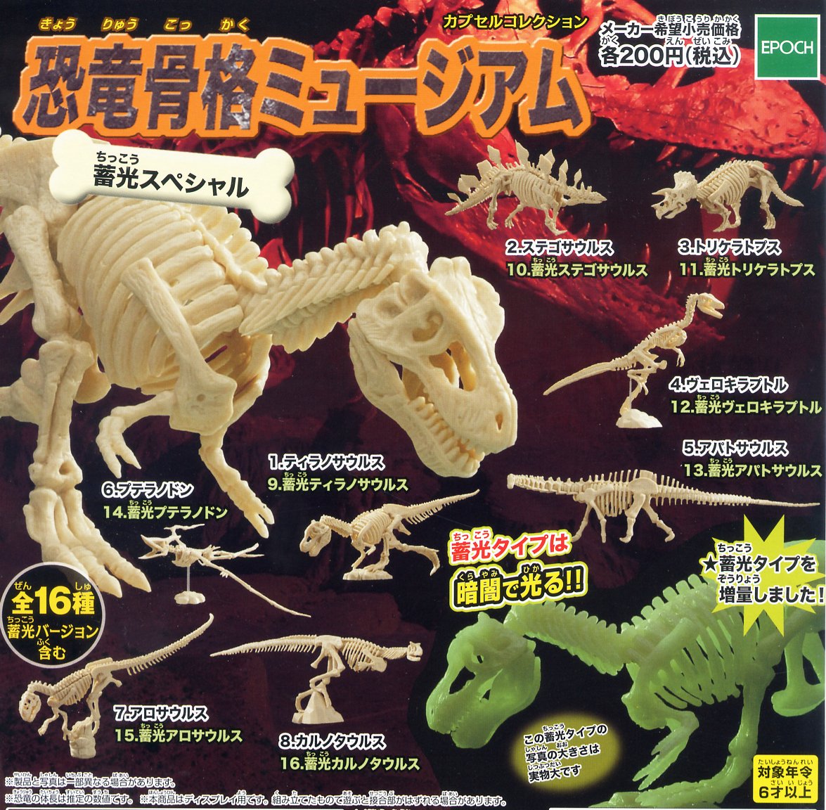 Amazon | カプセルコレクション 恐竜骨格ミュージアム 蓄光スペシャル