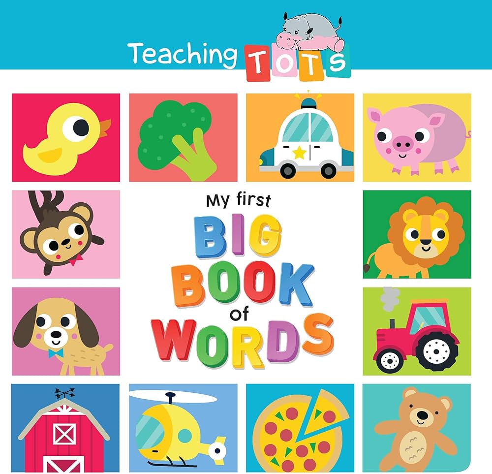 Amazon.com: My First Big Book of Words - Lap Size Board Book