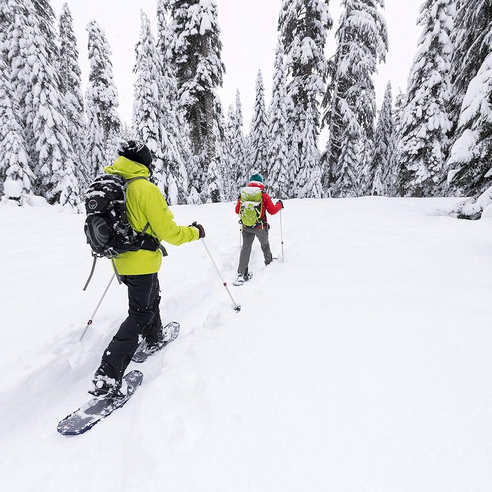 Amazon | エムエスアール(MSR) スキー ポール バックカントリー ダイナ