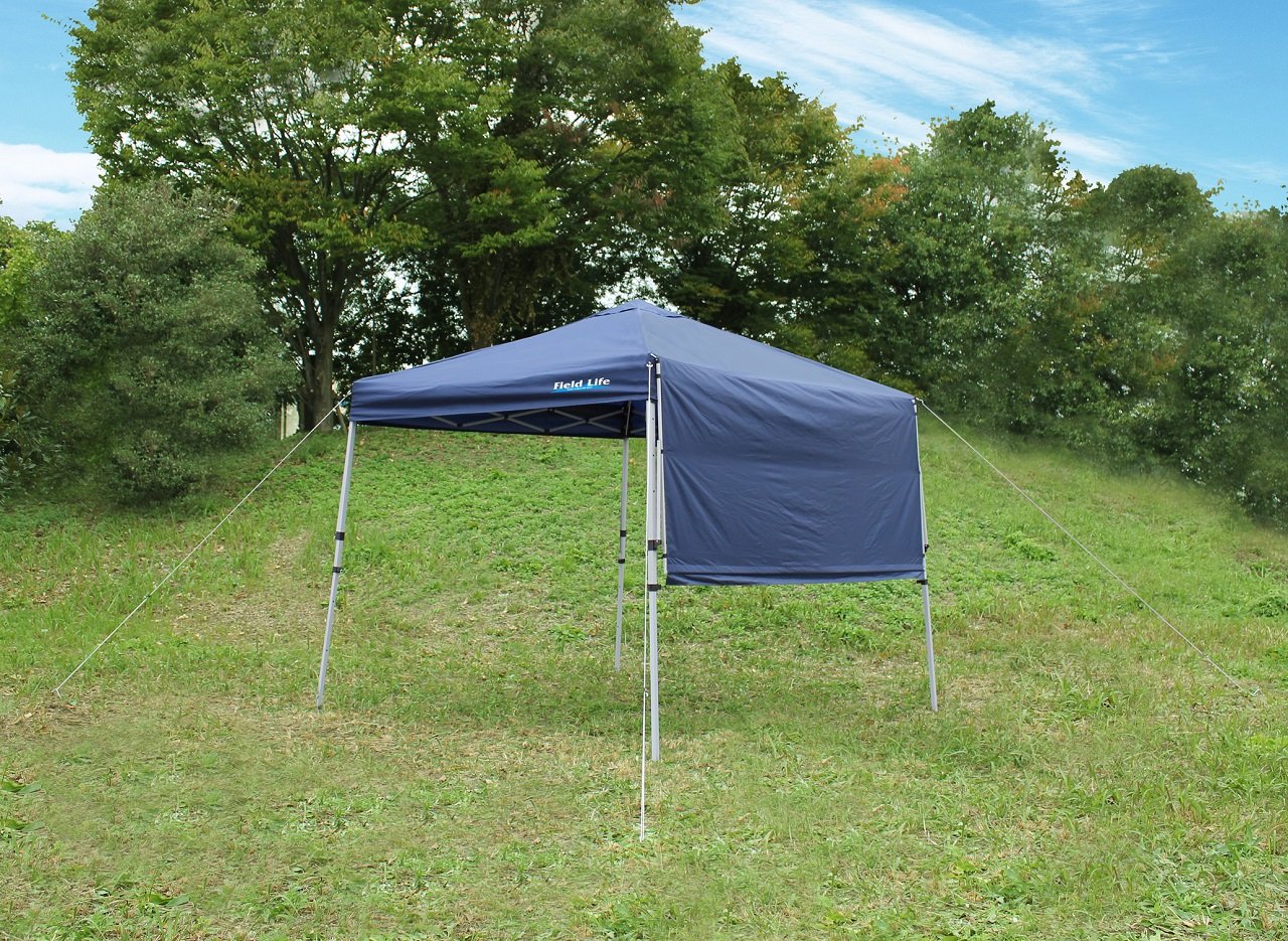 Amazon.co.jp: Field Life(フィールドライフ) ウイングワンタッチ