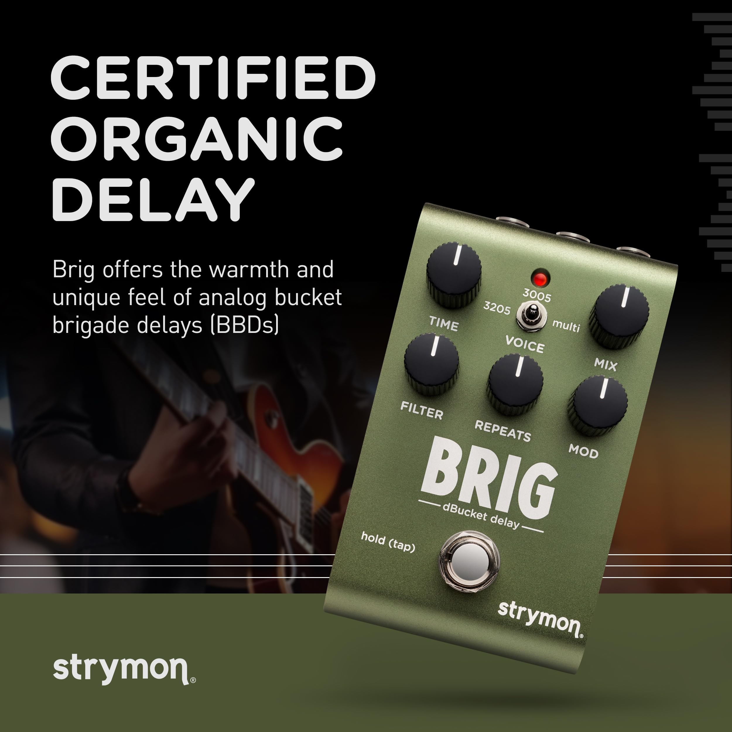 Amazon | Strymon/BRIG ブリッグ ディレイ ストライモン | ディレイ