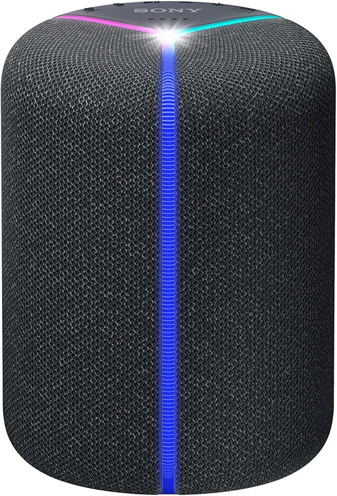 Amazon.com: Sony XB402M Smart Speaker with Powerful Sound, EXTRA