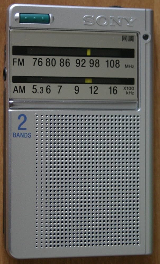 Amazon.co.jp: SONY FM/AMポケッタブルラジオ ICF-R46 : 家電＆カメラ
