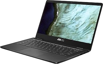 Amazon.com: Asus Chromebook C423NA-BCLN5 14