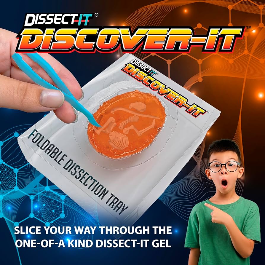 Amazon.com: Discover-It Dissection Kit for Kids, Owl Pellet