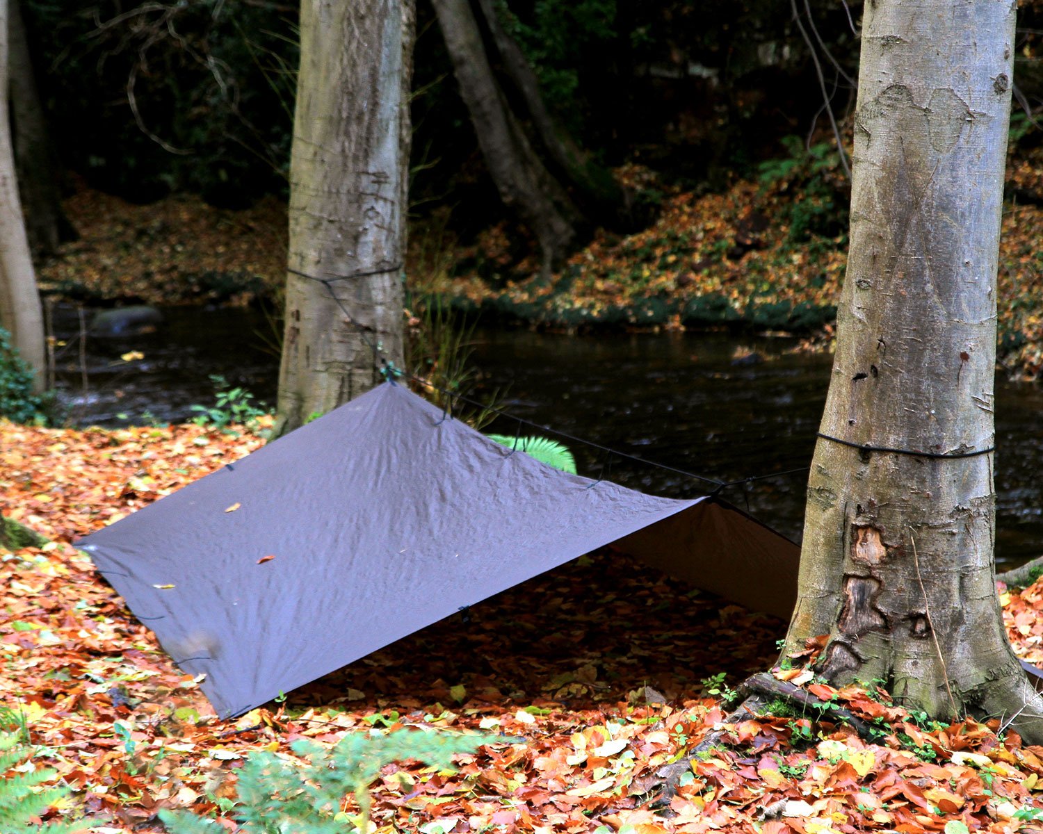 Amazon | DD Hammocks DD タープ XL (コヨーテブラウン) 正規品 | DD