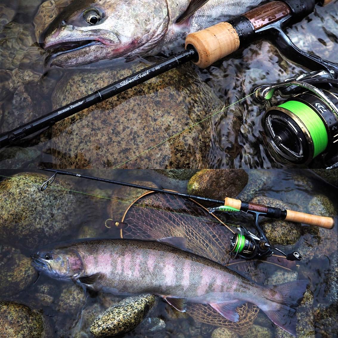 Amazon | ダイワ(DAIWA) スピニングリール 19 バリスティック FW