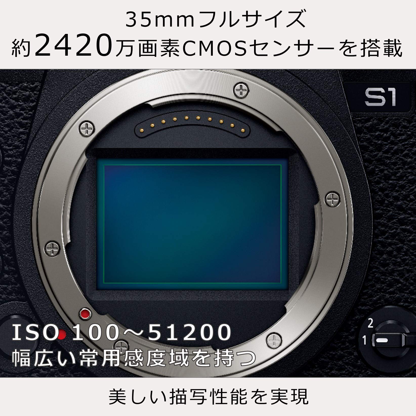 Amazon | パナソニック(Panasonic) フルサイズ ミラーレス一眼カメラ