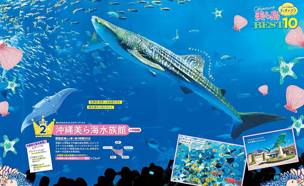 LB 黄金のフック一枚 蒼海の大覇船三枚 JPN】【Rainbow Foil】[海賊