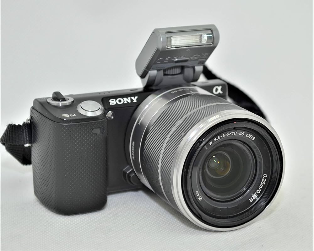 Amazon.co.jp: SONY デジタル一眼カメラ α NEX-5N ズームレンズキット