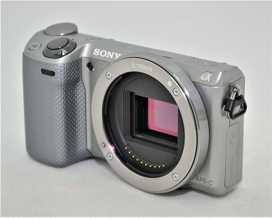 Amazon | NEX-5R シルバー ボディ | Sony | ミラーレス一眼