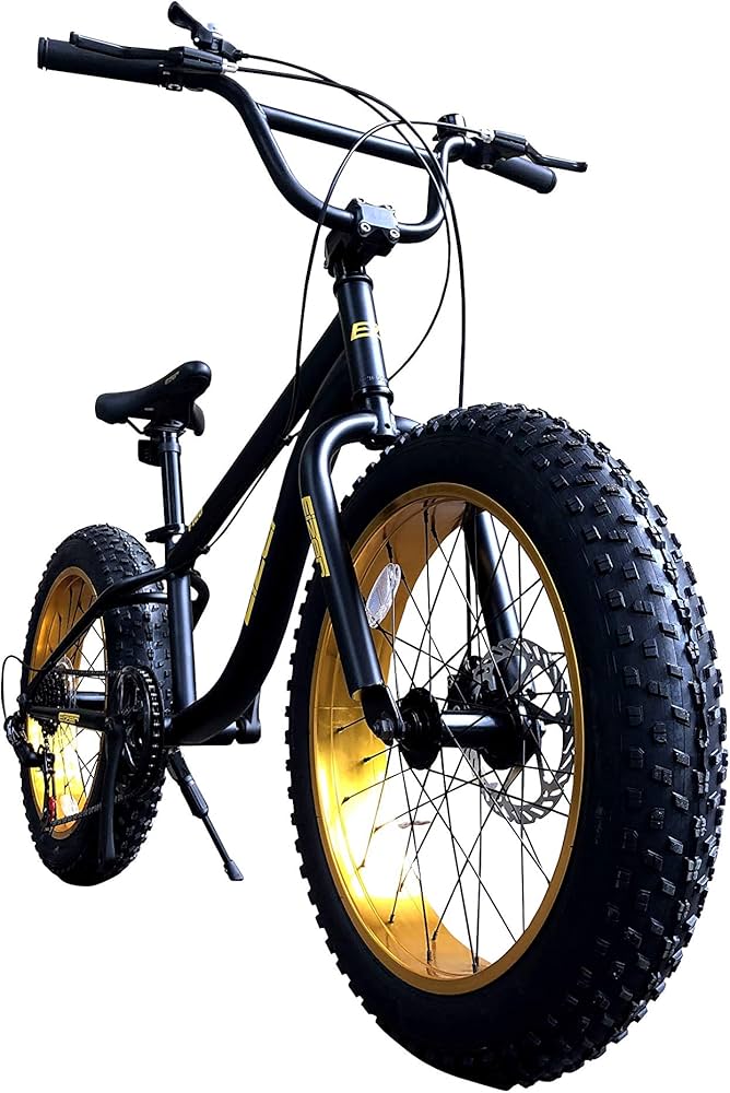 Amazon | Eizer(アイゼル) 【ファットバイク】迫力の極太 ファット