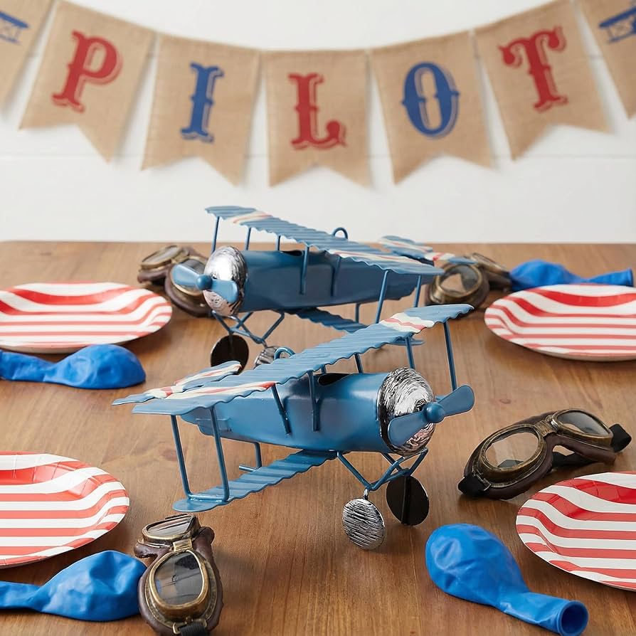 Amazon.com: DECHOUS 3Pcs Metal Vintage Airplane Decor: Small