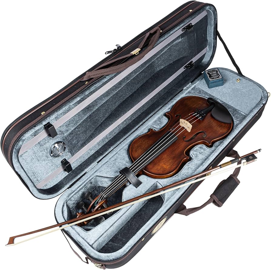 Amazon | STENTOR バイオリン アウトフィット 適応身長145cm以上 湿度