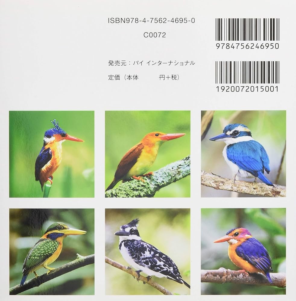 Amazon.co.jp: 世界の美しいカワセミ : 上田恵介, 笠原里恵: Japanese