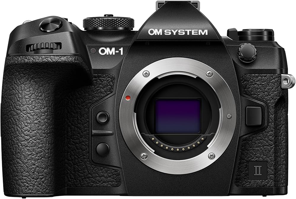 Amazon.co.jp: OM-1 Mark II Body : Electronics