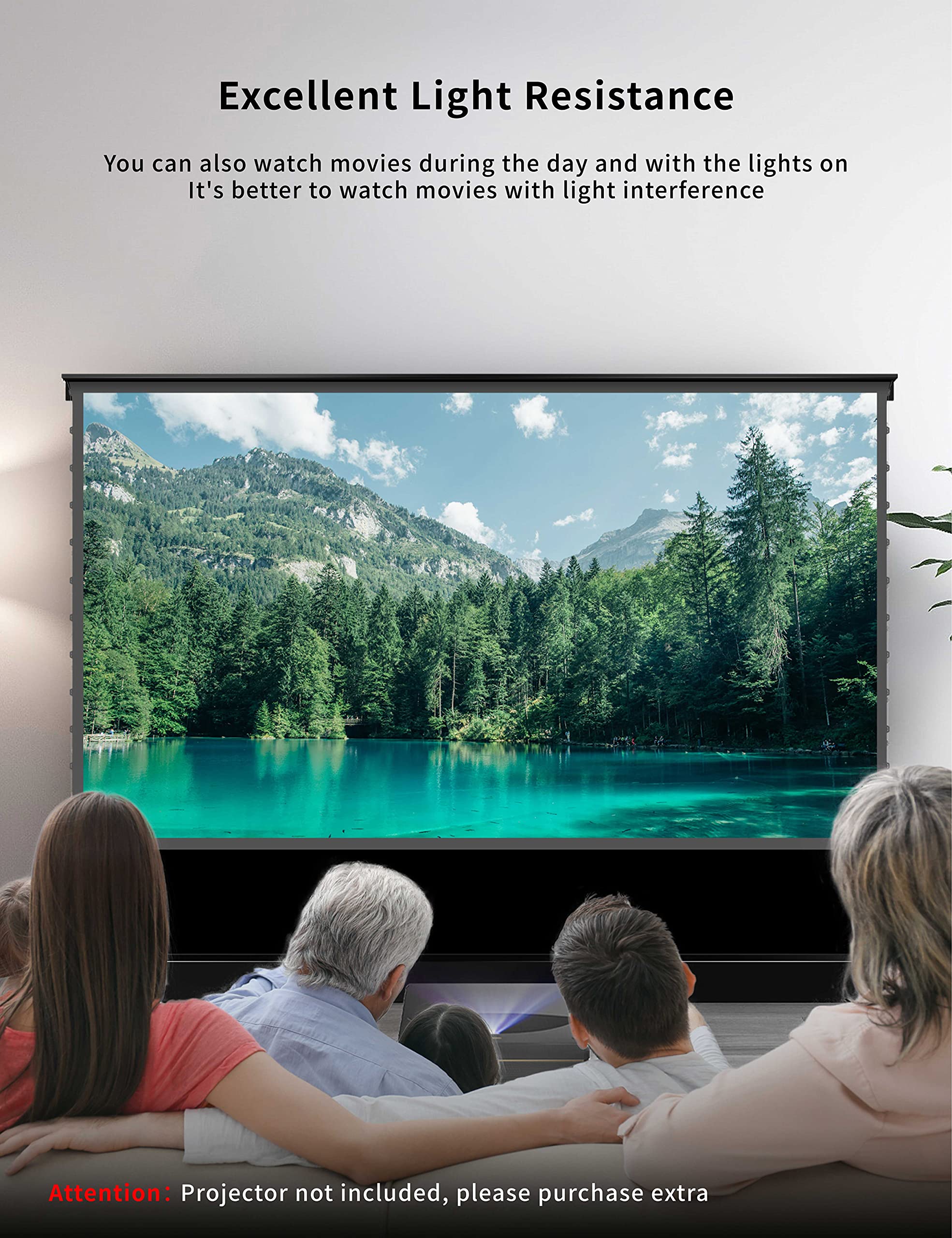 Amazon.com: VIVIDSTORM-Projection Screen S PRO 100 inch Portable