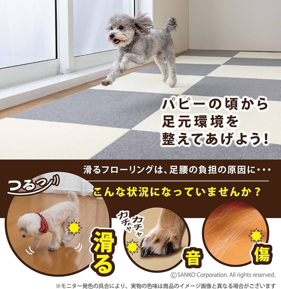 Amazon｜Sanko【日本製 撥水 消臭 洗える】サンコー ずれない