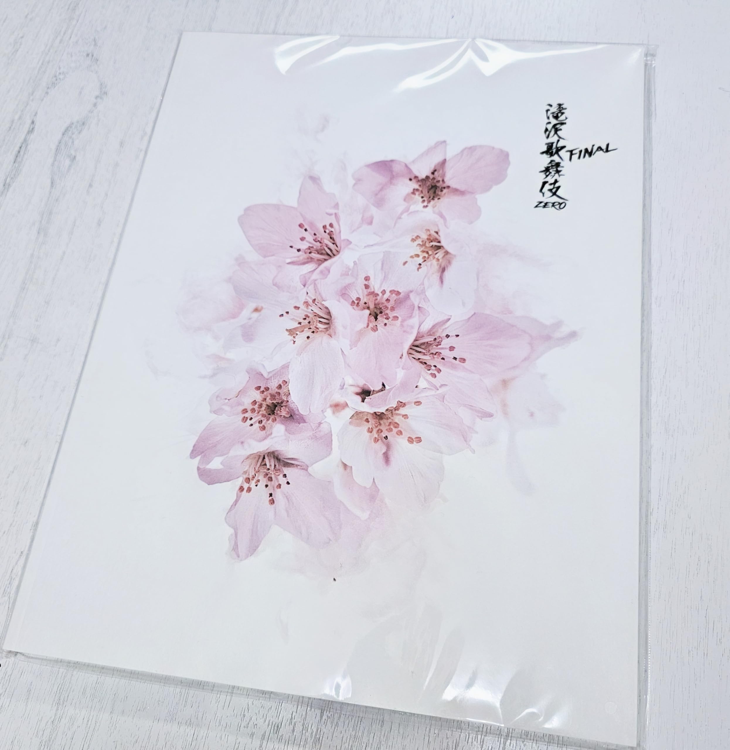 Amazon.co.jp: Snow Man 【 滝沢歌舞伎 パンフレット 】 ZERO FINAL