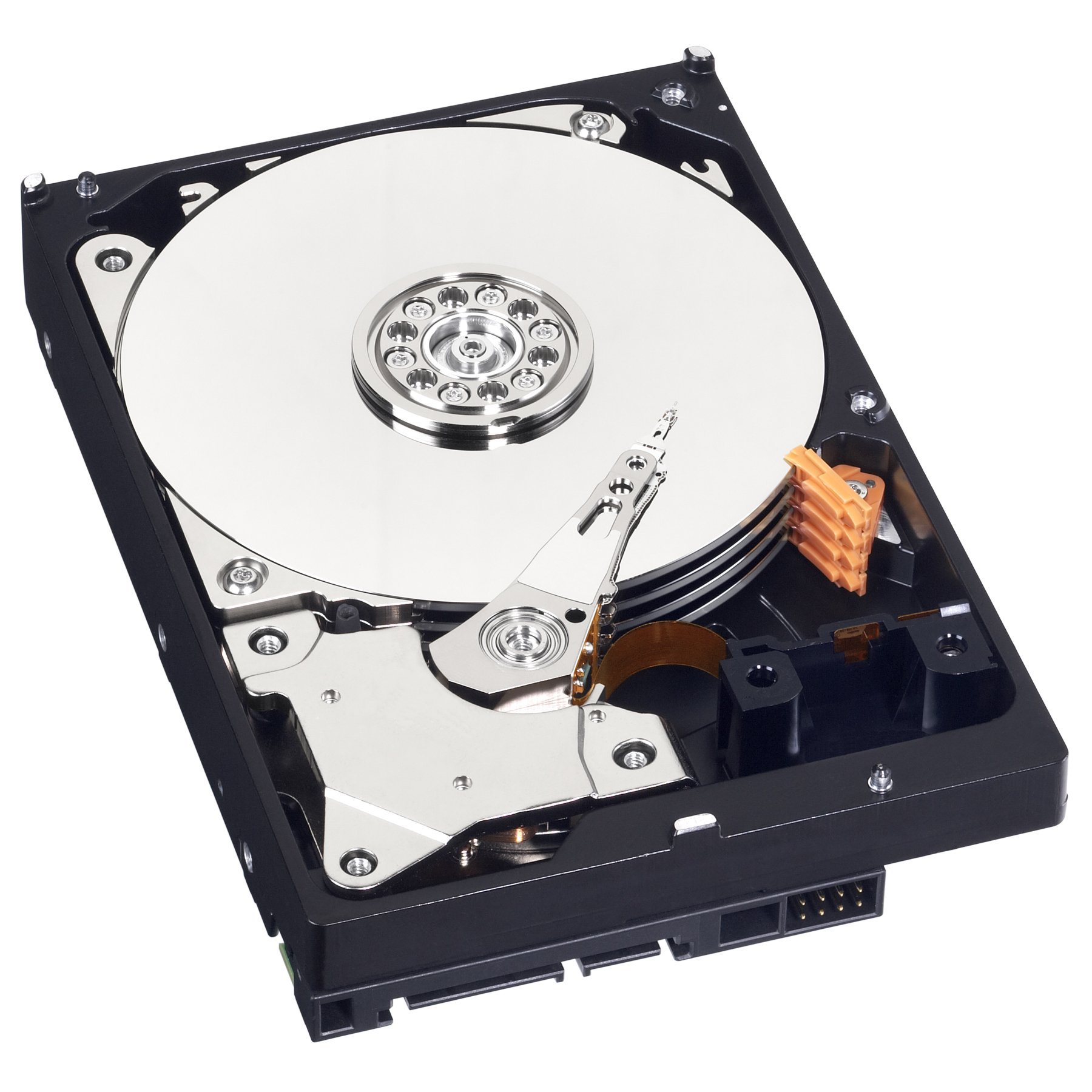 Amazon.com: WD Internal Hard Disk 3.5in 6TB WD Blue WD60EZAZ SATA