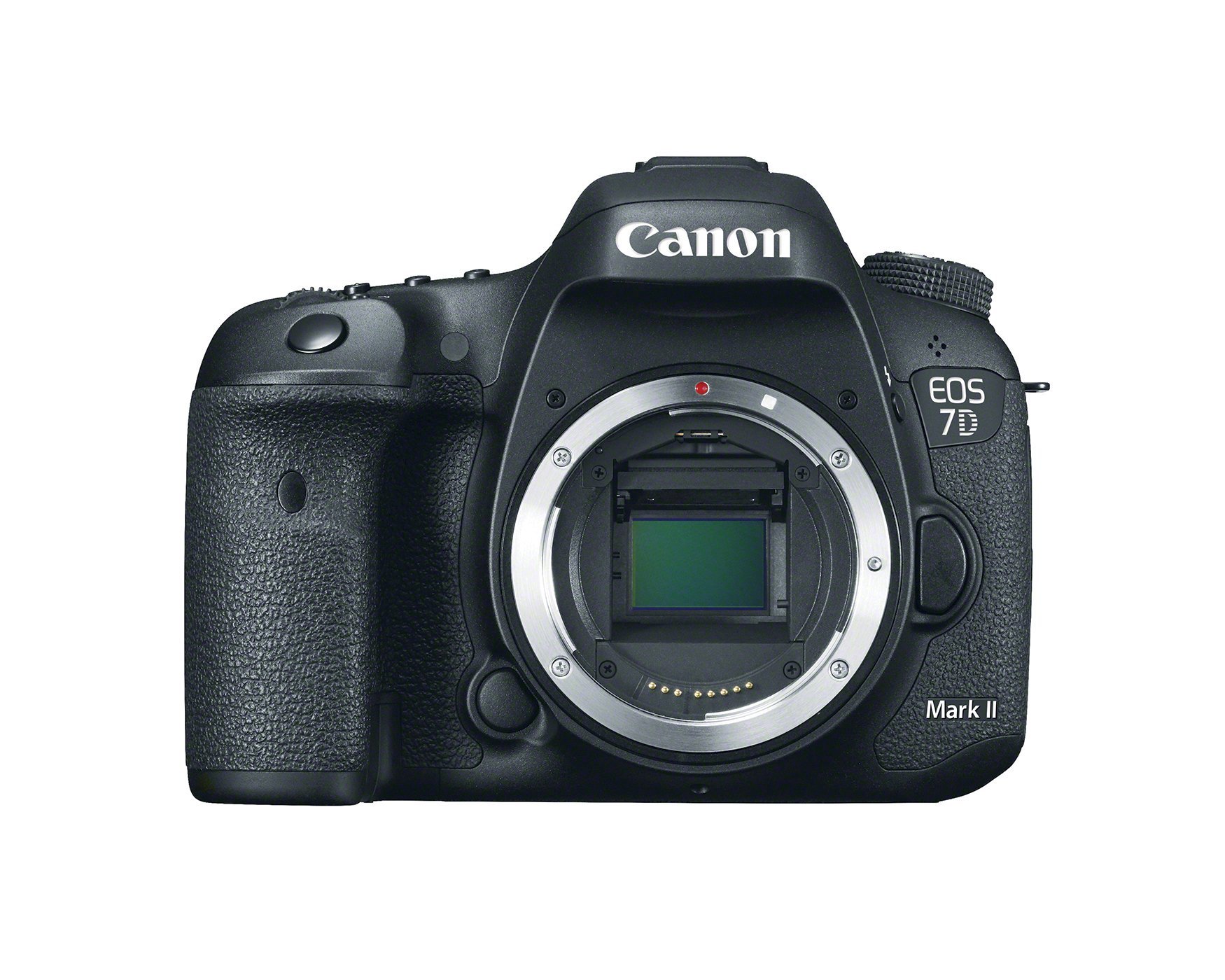 Amazon.com: Canon EOS 7D Mark II Digital SLR Camera (Body Only