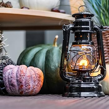 81hBwLkaqsL._AC_UF350,