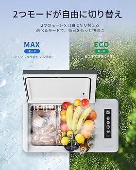 Amazon.co.jp: EUHOMY 車載冷蔵庫 ポータブル冷蔵庫 小型 【-20℃～20