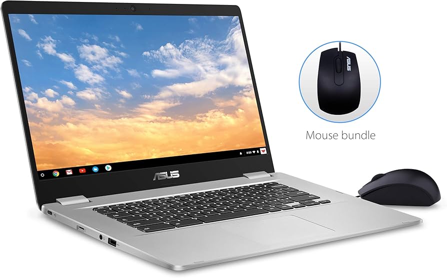 Amazon.com: ASUS Chromebook C423NA-DH02 14.0