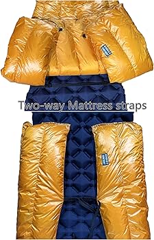 81i6FzwdvUL._AC_UF350,