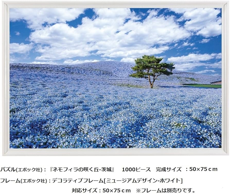 81jF04ep4eL._AC_UF894,