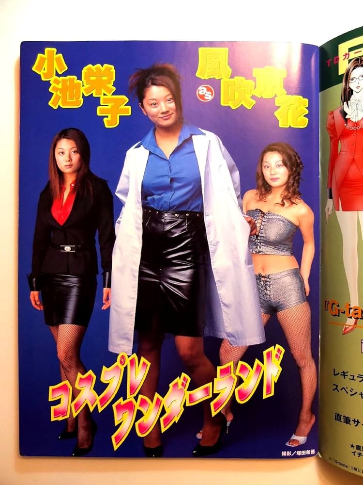 Amazon.co.jp: トレカBOOKG-taste小池栄子編 : 本